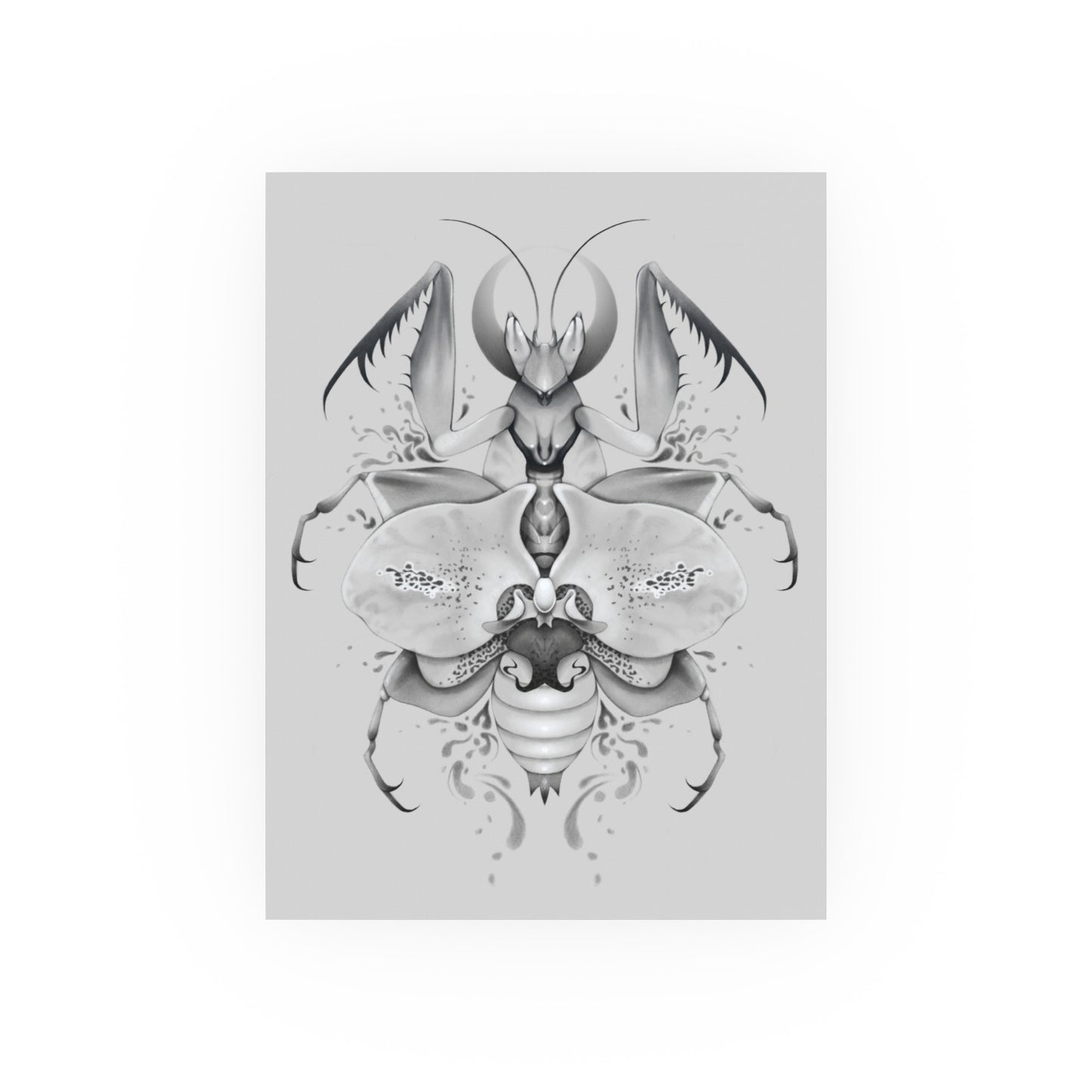 Orchid Mantis God (Art Print)
