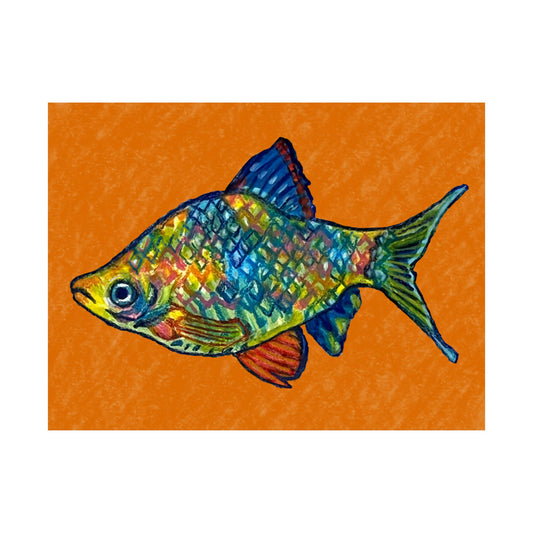 rainbow fish (Poster)