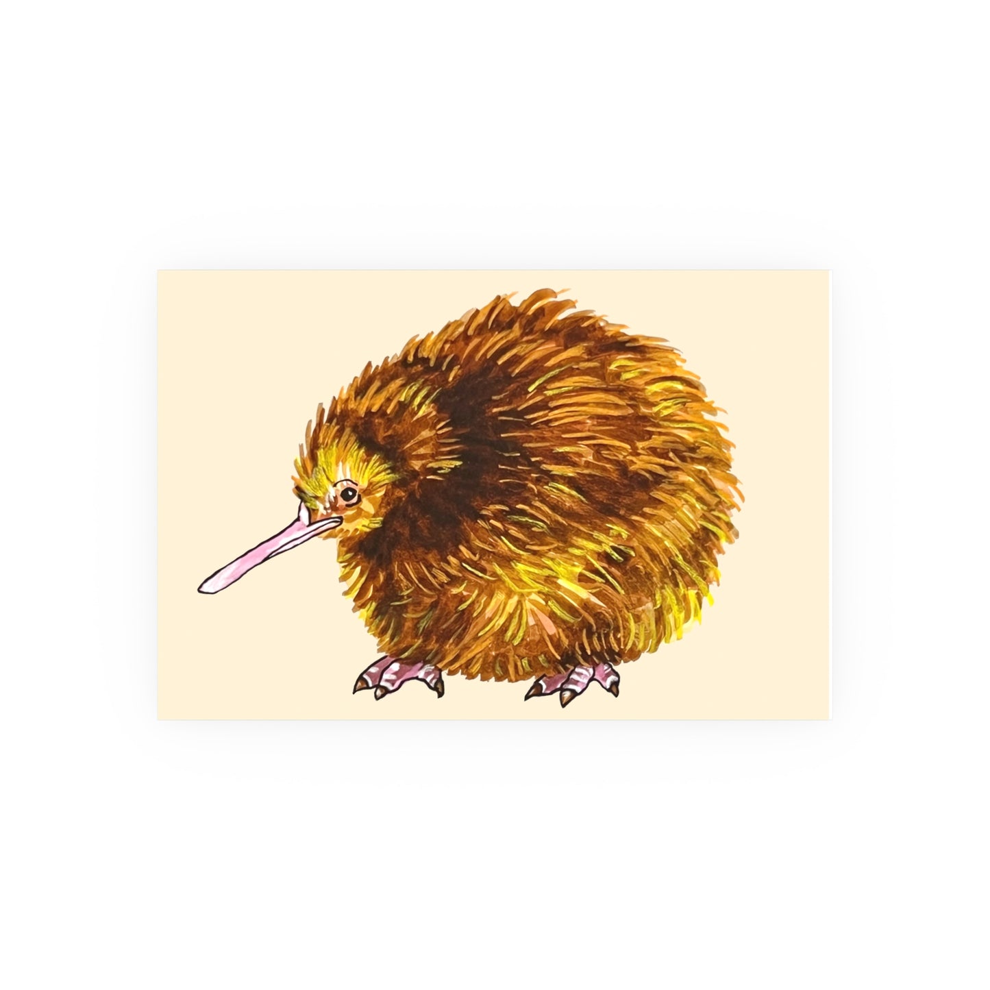 kiwi bird (Download or Art Print)