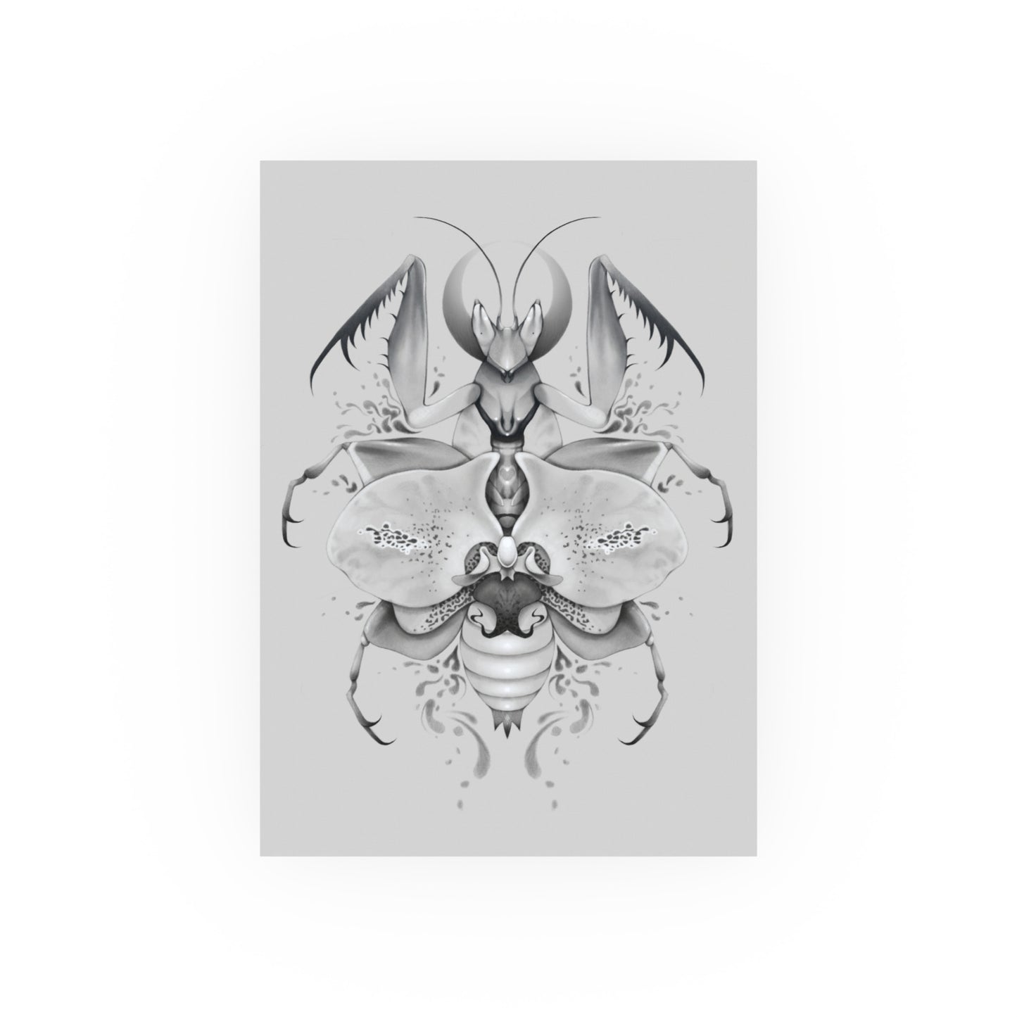 Orchid Mantis God (Art Print)