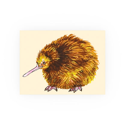 kiwi bird (Download or Art Print)