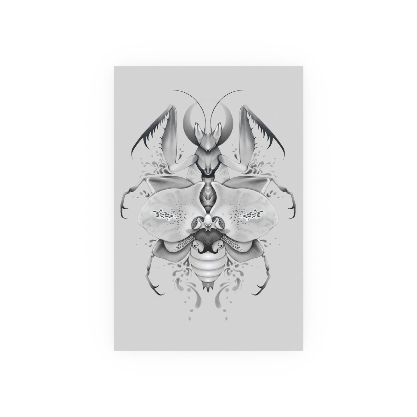 Orchid Mantis God (Art Print)