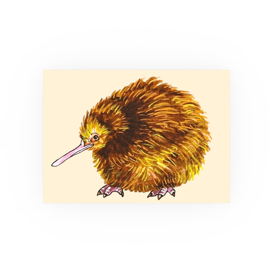 kiwi bird (Download or Art Print)