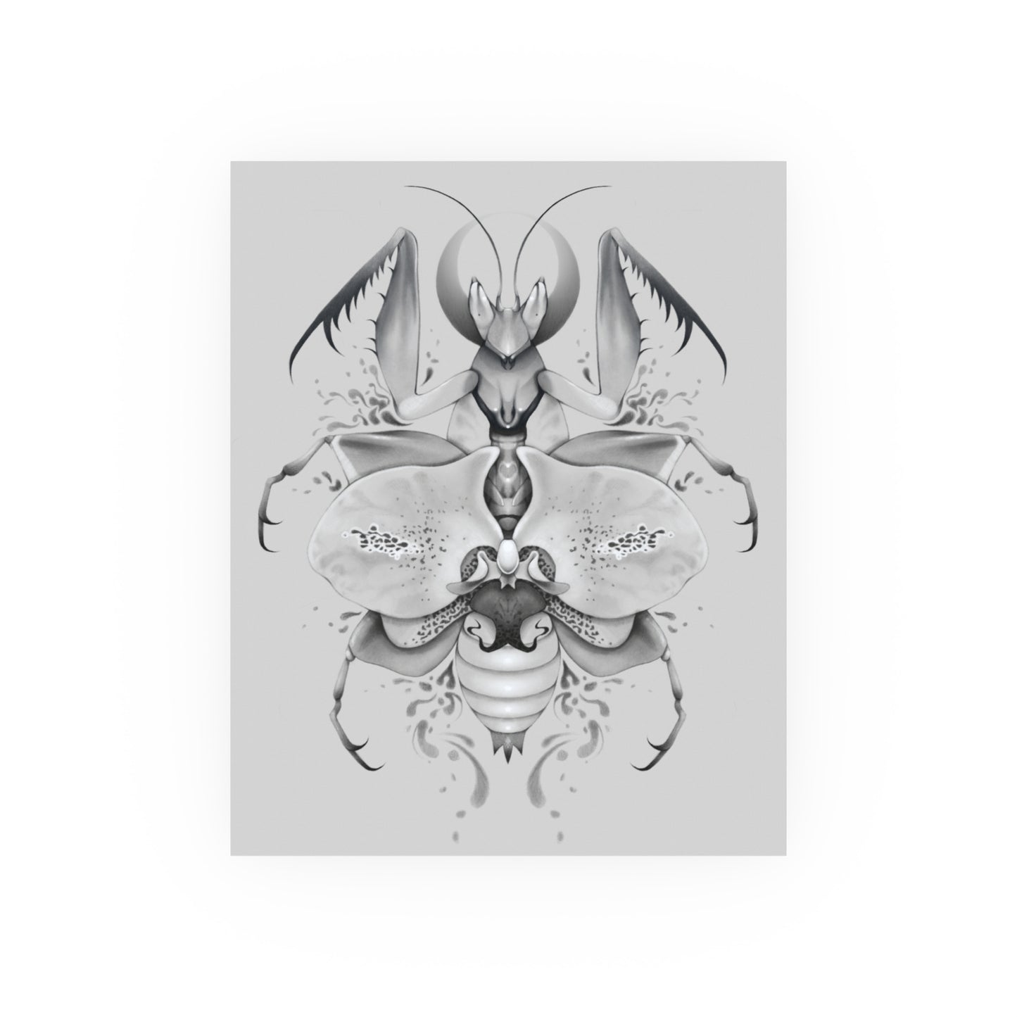 Orchid Mantis God (Art Print)