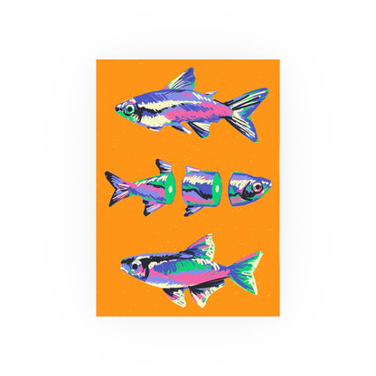 fish (Download or Art Print)