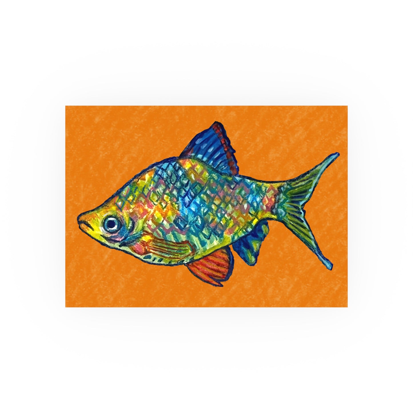 rainbow fish (Download or Art Print)
