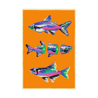 fish (Poster)