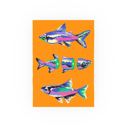 Modern, colorful fish illustrations on an orange background, digital art print by a transgender artist.